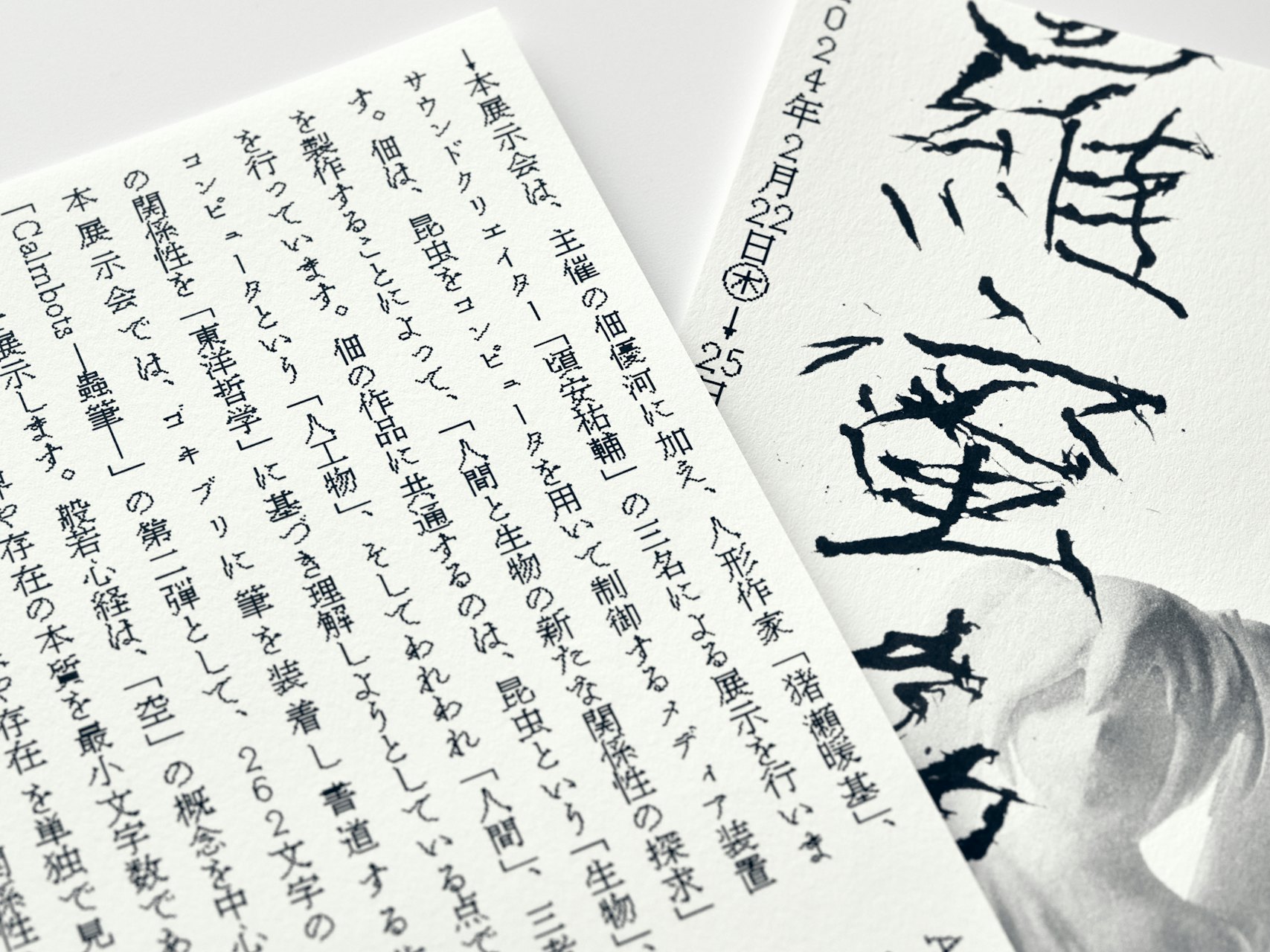 響き煌めく境界線 の画像 4